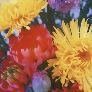 精品国产电影久久久久
